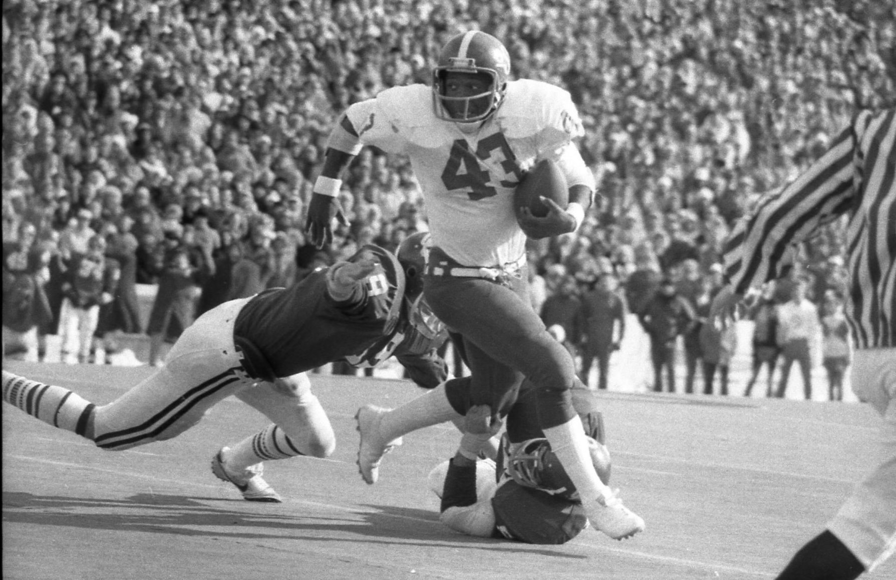 5. Terry Miller